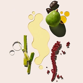 Beija Flor™ Elasti-Body Oil - Esnekleştirici vücut yağı